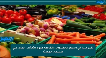 تغير جديد في أسعار الخضروات والفاكهة اليوم الثلاثاء.. تعرف على الأسعار المحدثة